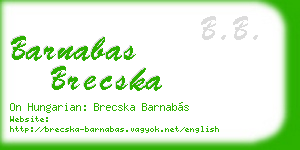 barnabas brecska business card